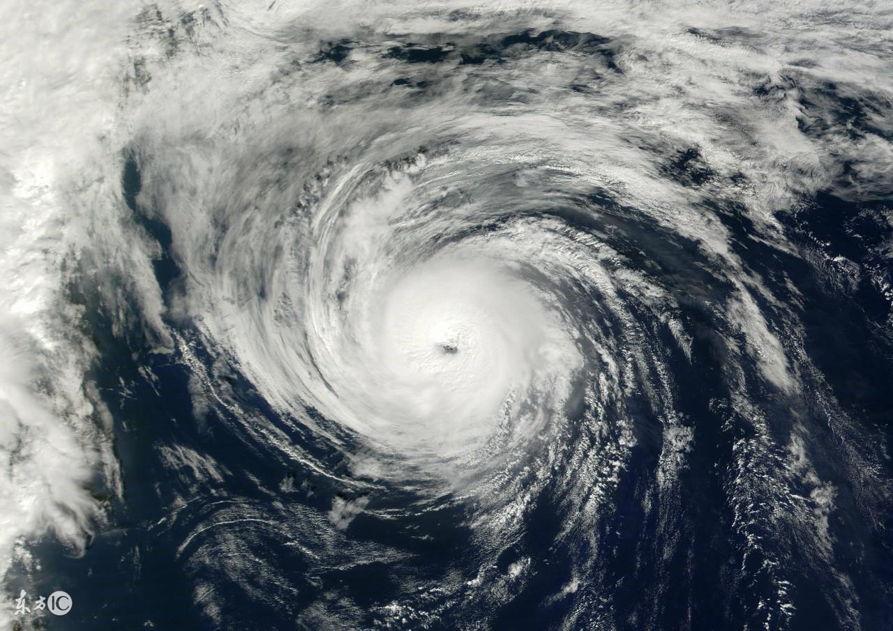 臺風天鴿來襲，小巷特色小店探秘與最新資訊分享