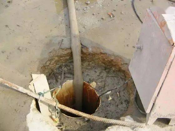 白酒 第599頁(yè)