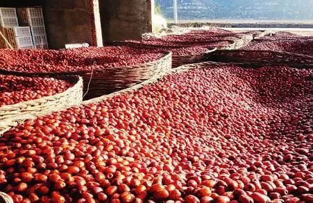 今日全國紅棗最新價格概覽，踏上紅棗之旅，尋找內(nèi)心平靜之路