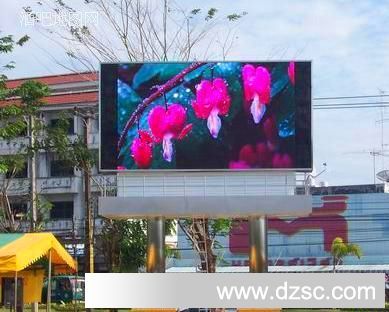 2024年新溪門天天開彩,創新計劃制定_QDY29.874戶外版