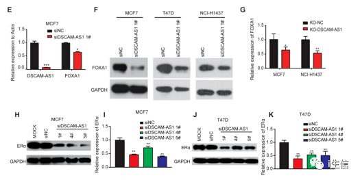 新澳正版資料免費大全,數據驅動方案_AHF29.405便攜版
