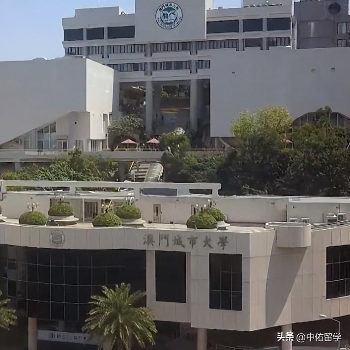 舊澳門開獎結果2024開獎記錄,社會承擔實踐戰略_YLD50.708可變版