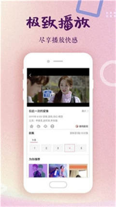 蝌蚪網最新播放視頻，科技浪潮中的新星，引領未來視頻體驗新潮流