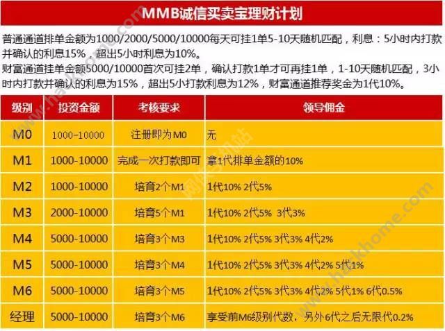 誠信買賣寶最新動態揭秘，溫馨有趣的日常故事揭曉！