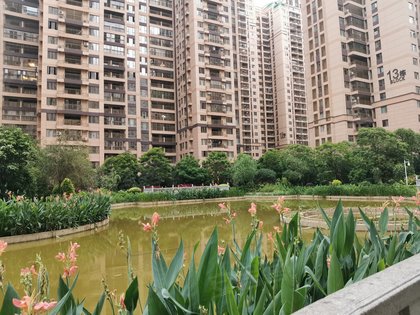 綠色經(jīng)典精盛青稞酒 第517頁