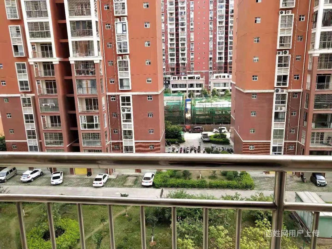 賀州綠洲家園最新動態,科技引領重塑生活體驗