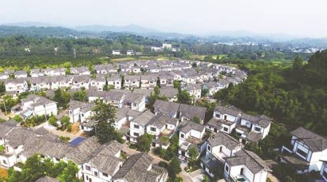 仁壽縣富家鎮(zhèn)最新規(guī)劃揭秘,小巷深處的探索之旅