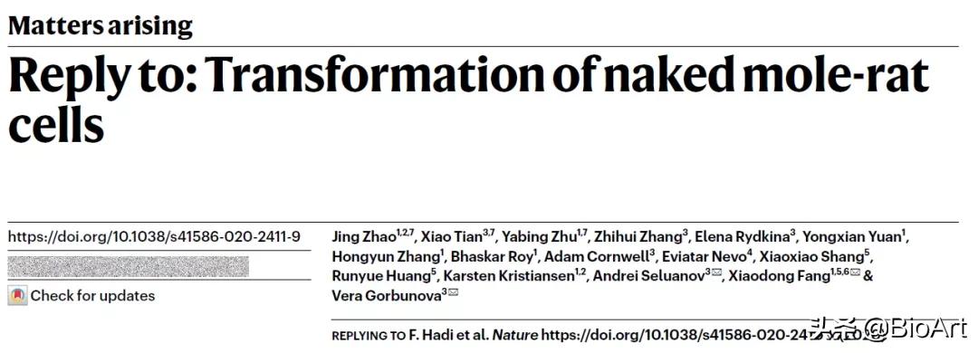 香港爭鳴雜志最新動態，小巷中的隱藏寶藏揭秘