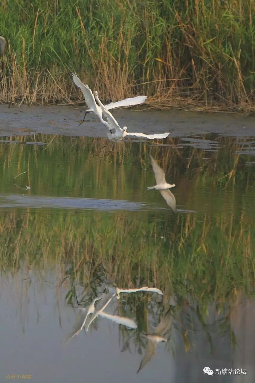 塘沽小梁子最新動態,變化中的學習力量,自信與成就感的源泉
