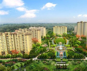 開封中州新城最新動態更新,最新消息速遞