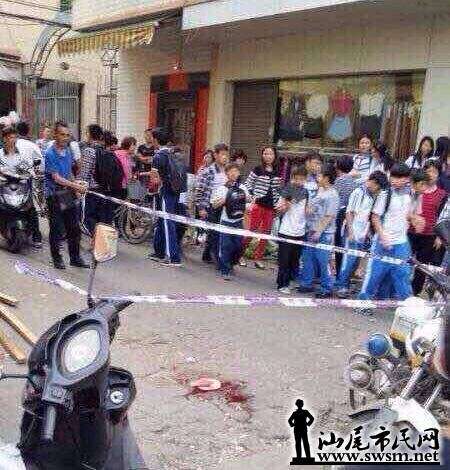 海豐新聞熱點揭秘，殺人案與心靈綠色之旅的雙重探尋