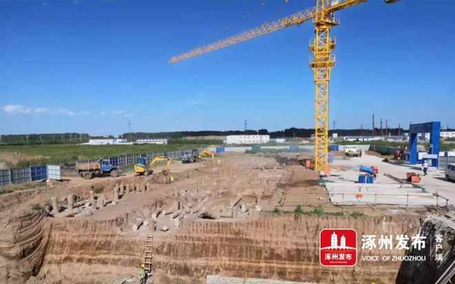 涿州項目搬遷最新動態，詳細步驟指南全解析