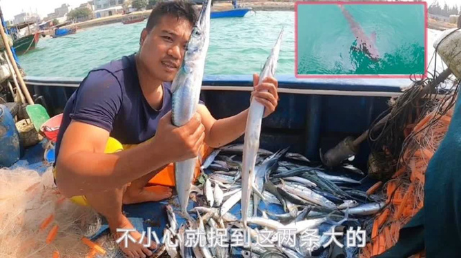 最新西釣網放魚信息,魚躍龍門,共鑒人生新篇章