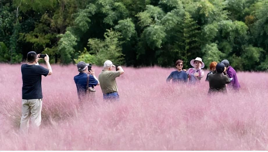上海冷空氣最新動態，氣象界矚目事件揭秘