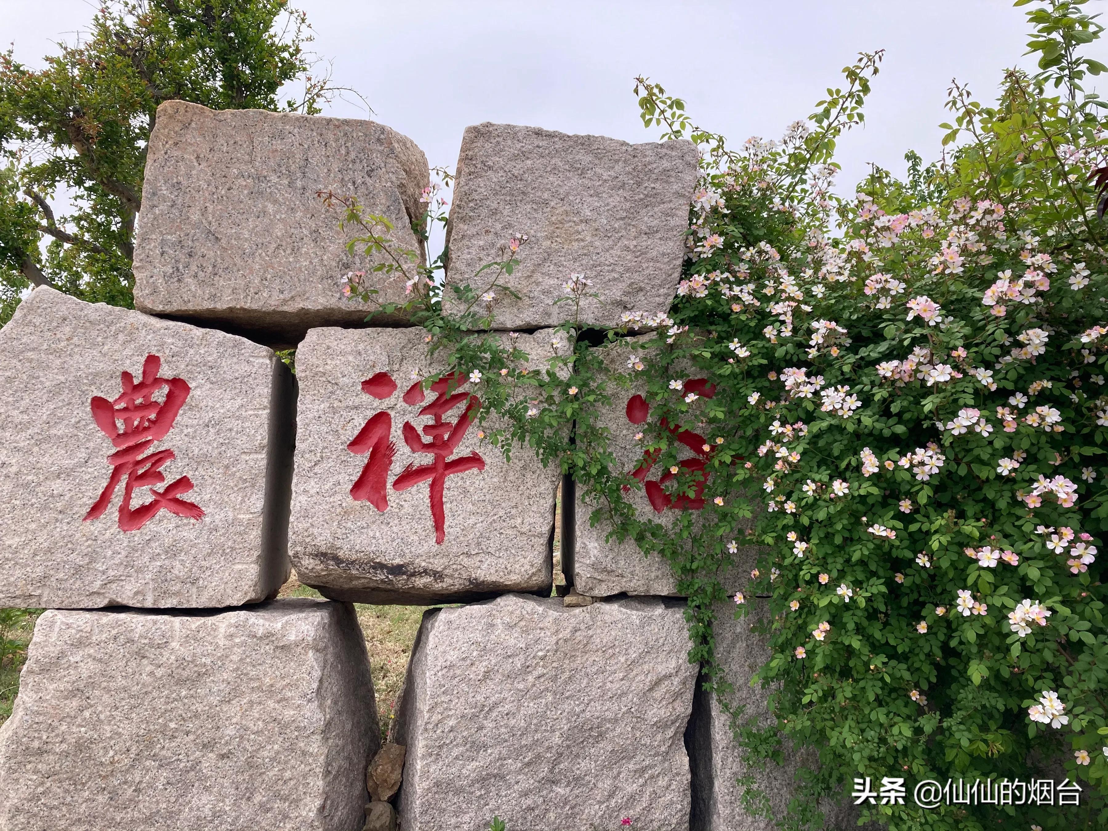 煙臺(tái)南部最新規(guī)劃揭秘，日常故事背后的藍(lán)圖發(fā)展之路