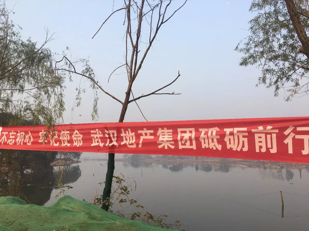 東湖城二期最新動態(tài)揭秘，全面了解與跟進(jìn)的步驟指南