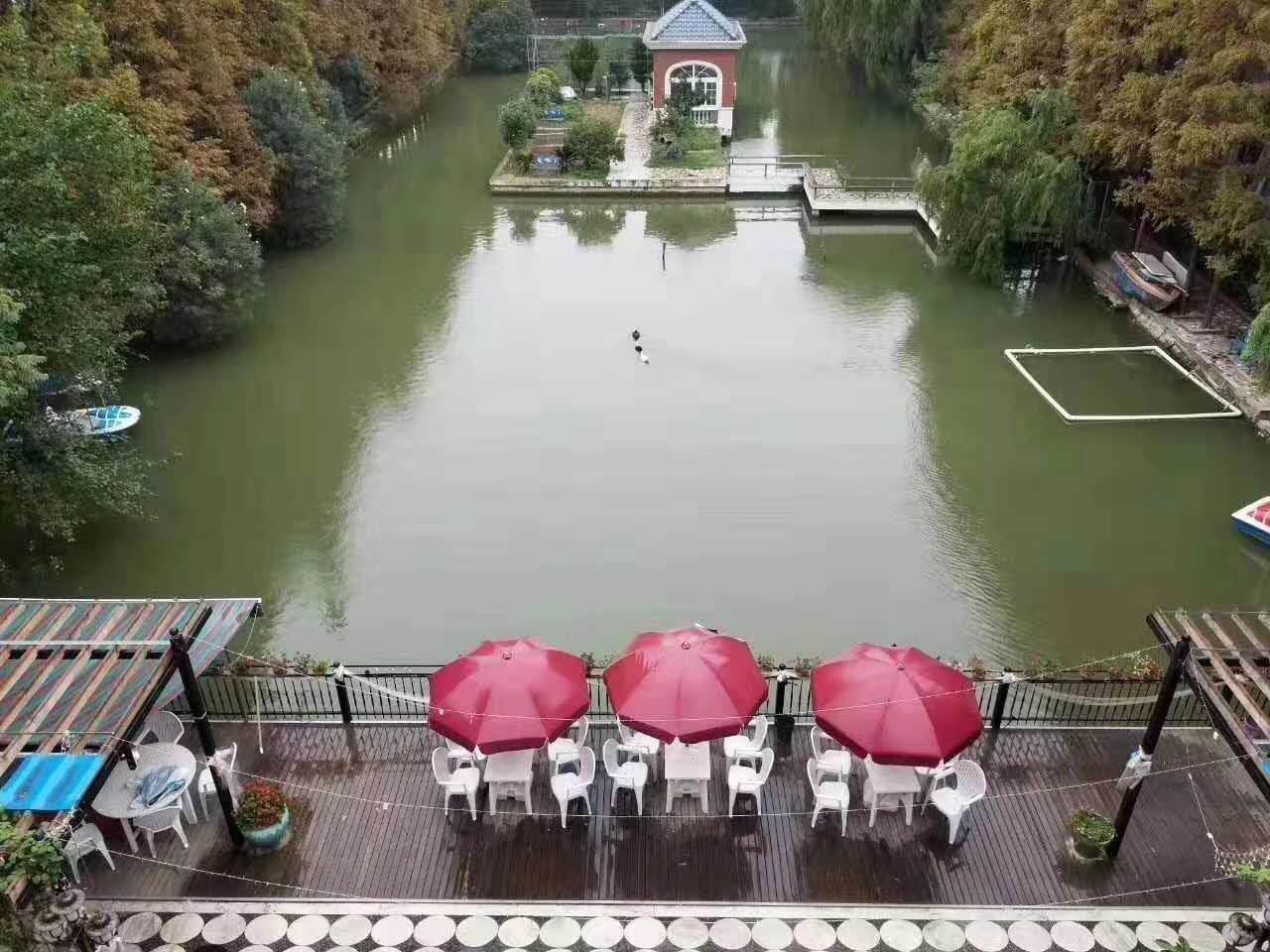 石家莊釣魚場最新魚訊,科技垂釣,開啟未來垂釣生活新篇章