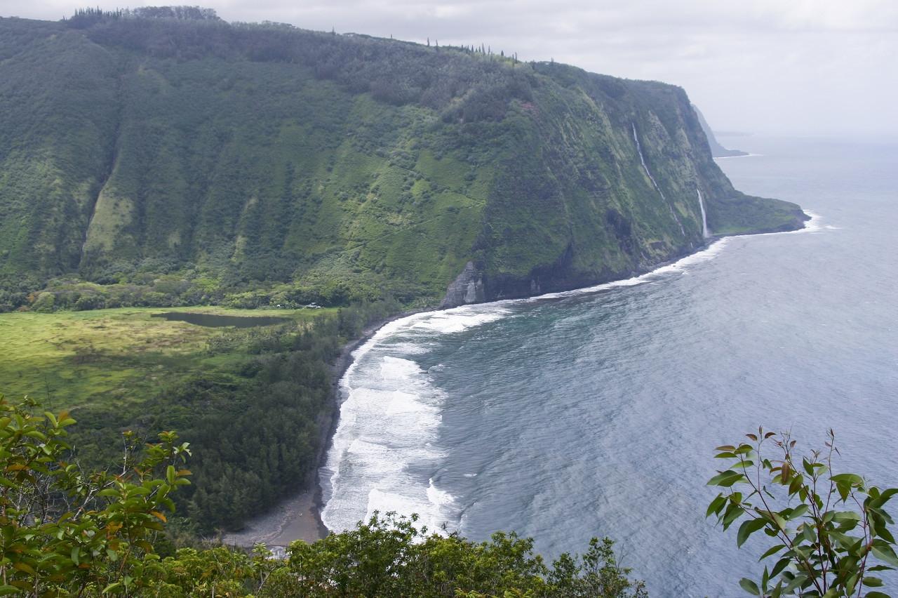 老樹畫畫最新打油詩,傳統藝術的現代魅力閃耀登場