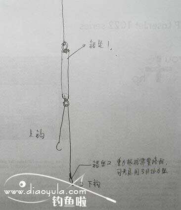 探索與實踐,最新雙墜釣法,揭秘釣魚技巧與策略(2015年)