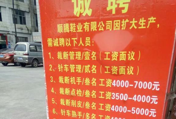 臨邑最新工廠招工女45的日常生活與求職故事