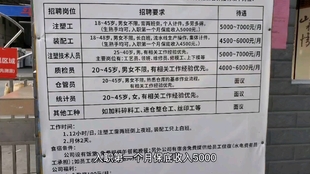 臨邑最新工廠招工女45的日常生活與求職故事