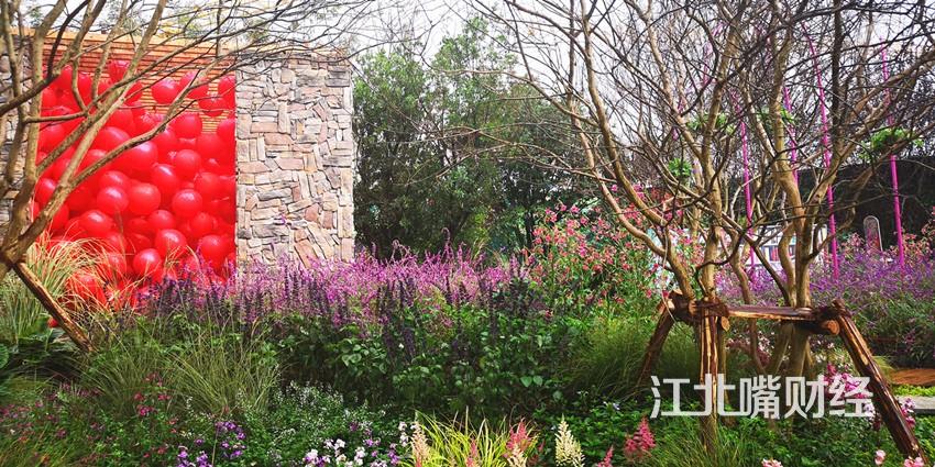 江北嘴世界花最新進(jìn)展揭秘，小巷中的隱藏寶藏之花盛開(kāi)在即