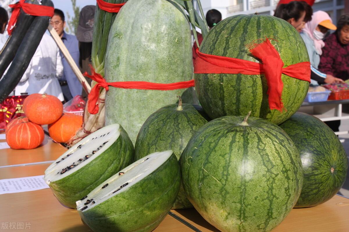 2016版打瓜價格指南，從初學者到進階用戶的打瓜價格查詢全攻略