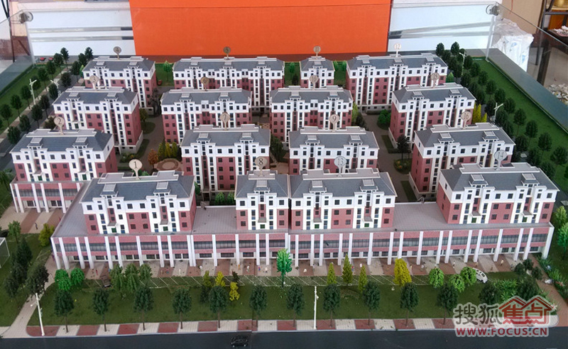 黃島九龍社區(qū)最新動(dòng)態(tài)，溫馨日常的點(diǎn)滴記錄