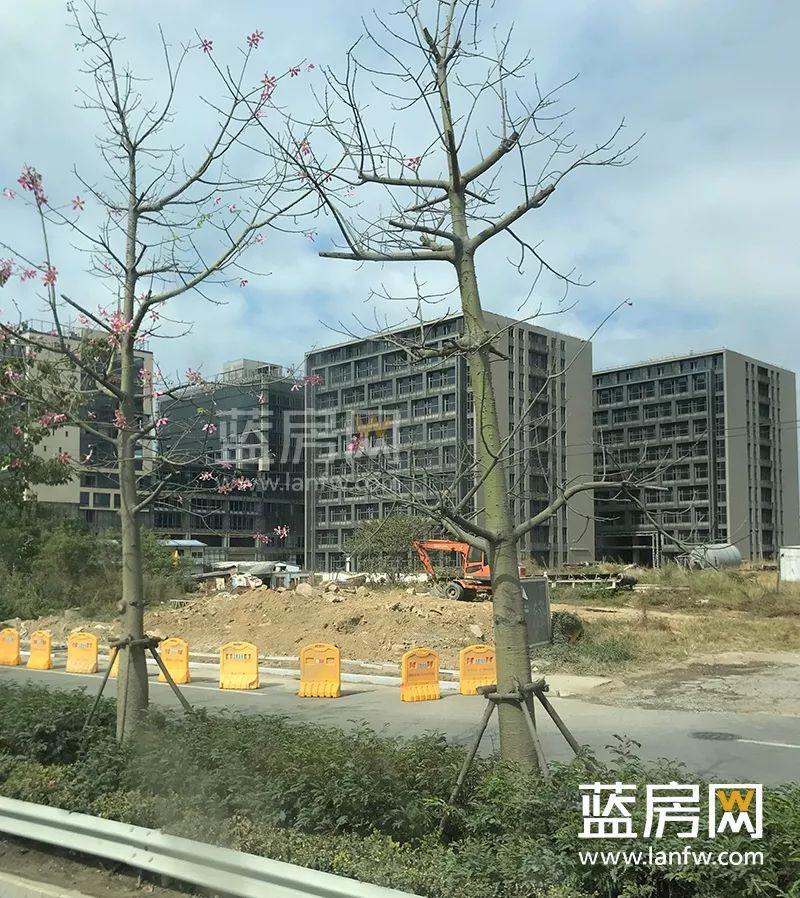 天澤奧萊時代最新動態，時代印記與未來展望