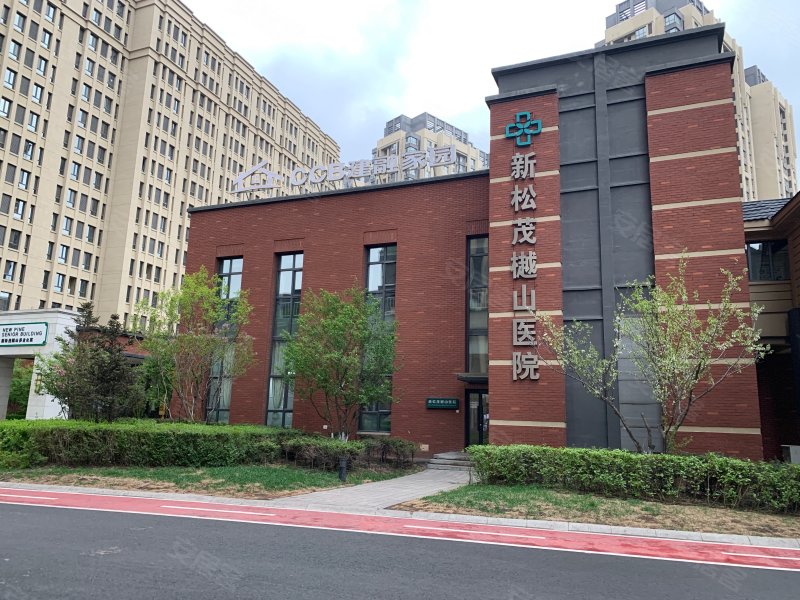 新松茂樾山最新動態，城市崛起與未來展望