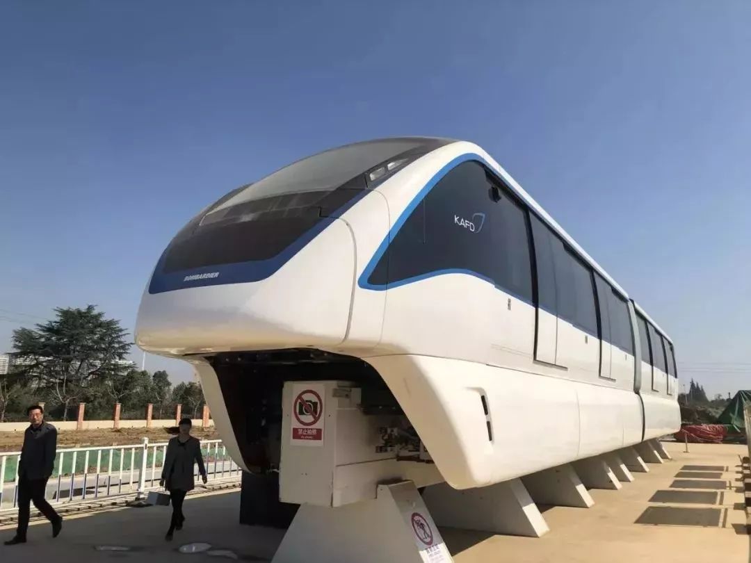 蕪湖交通事故最新消息全解析，獲取途徑與應對步驟指南（初學者到進階用戶必備）