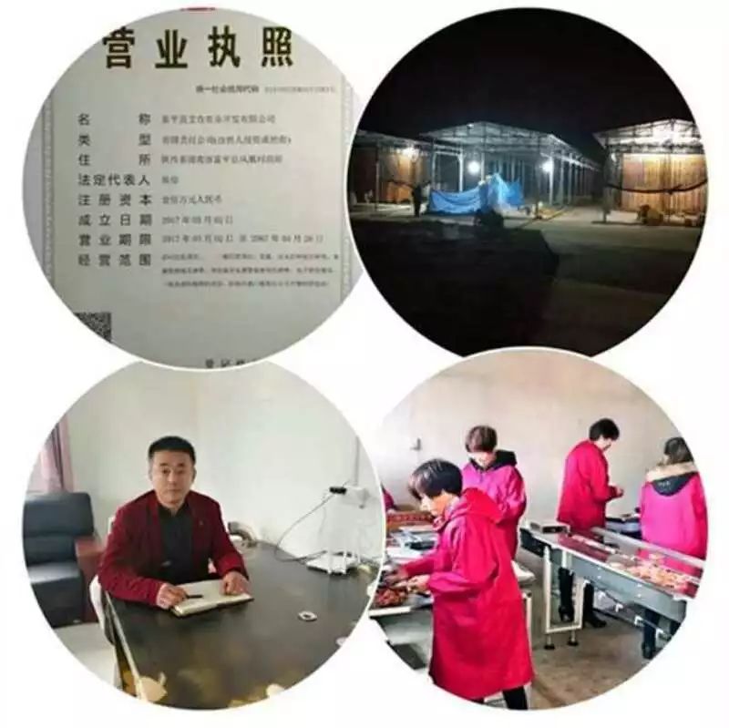 陜西省富平縣最新招聘啟事,追夢富平,學習成就未來職業之路