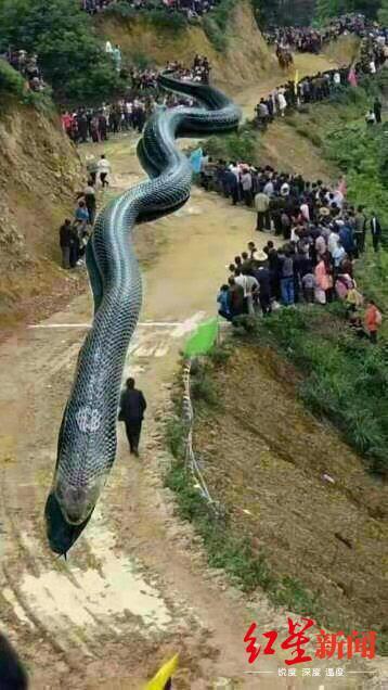 四川昨晚地震最新消息及觀點論述，深度解析地震動態與影響