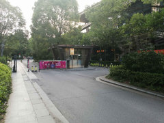 一呼柏應最新一期,時代之聲的回響