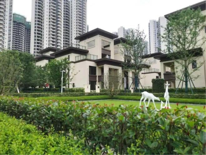 四川南部縣最新房價解析，觀點(diǎn)闡述與深度探析