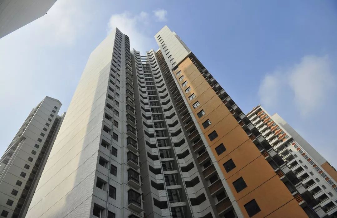 身份證改名字最新規定概覽