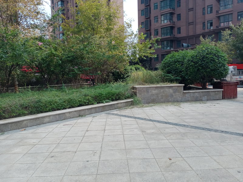 新美城上領地,自然美景探索之旅,追尋內心平和與寧靜的最新消息