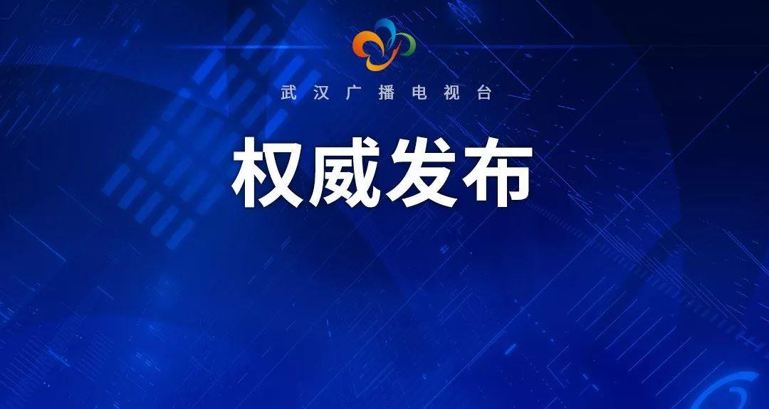 武漢市張文彤最新動(dòng)態(tài),技能提升與任務(wù)完成指南