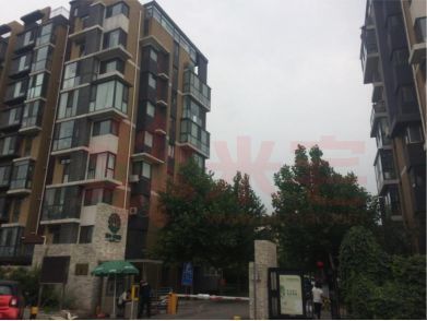 東洲家園自住房最新動態,科技引領生活新紀元