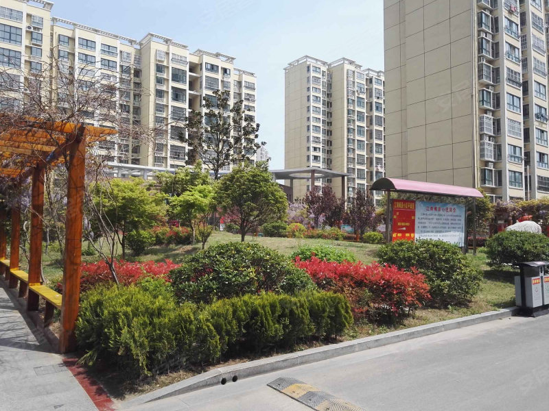 沭陽江南楓景最新動態揭秘，最新消息一覽無余！