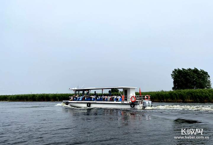 雄安白洋淀最新動(dòng)態(tài)，全面探訪與指南