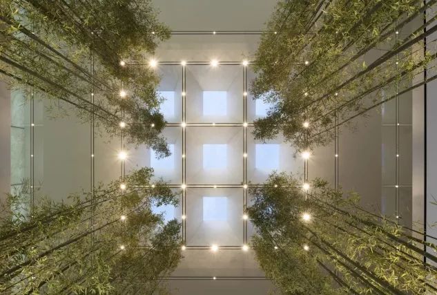 新澳門一碼一肖一特一中水果爺爺,公安技術_RTS83.210高效版