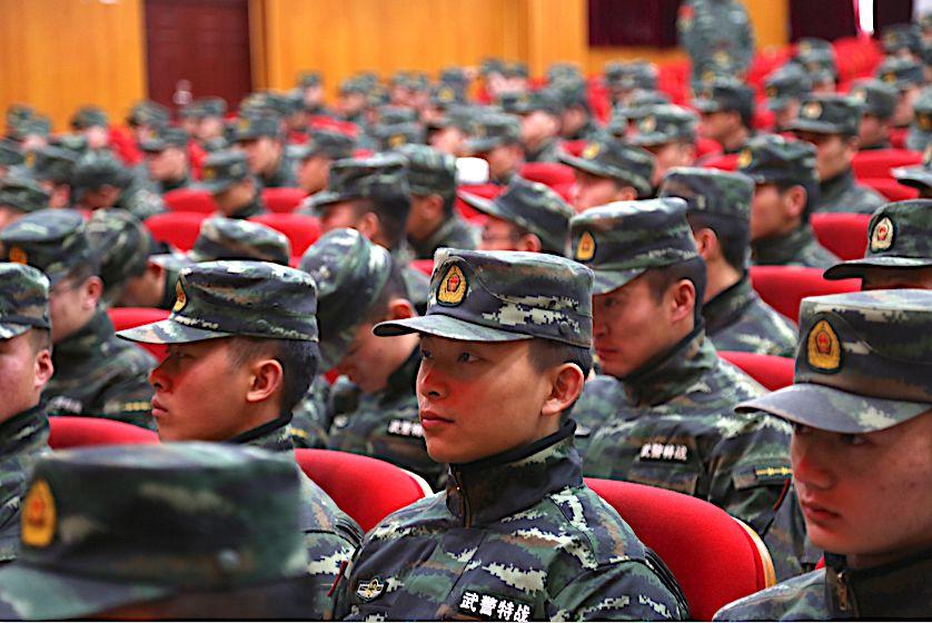 科技重塑戰場，最新特戰隊電視劇全集，前所未有的戰斗之旅體驗