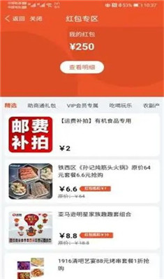 澳門精準王中王軟件特色,安全性方案執行_YQX58.781快速版