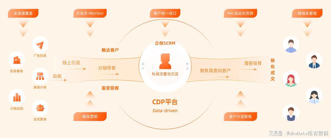 2024全年資料免費大全,深入探討方案策略_PYJ9.207掌中寶