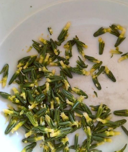 石城縣暑假工招聘指南，最新崗位信息一網(wǎng)打盡