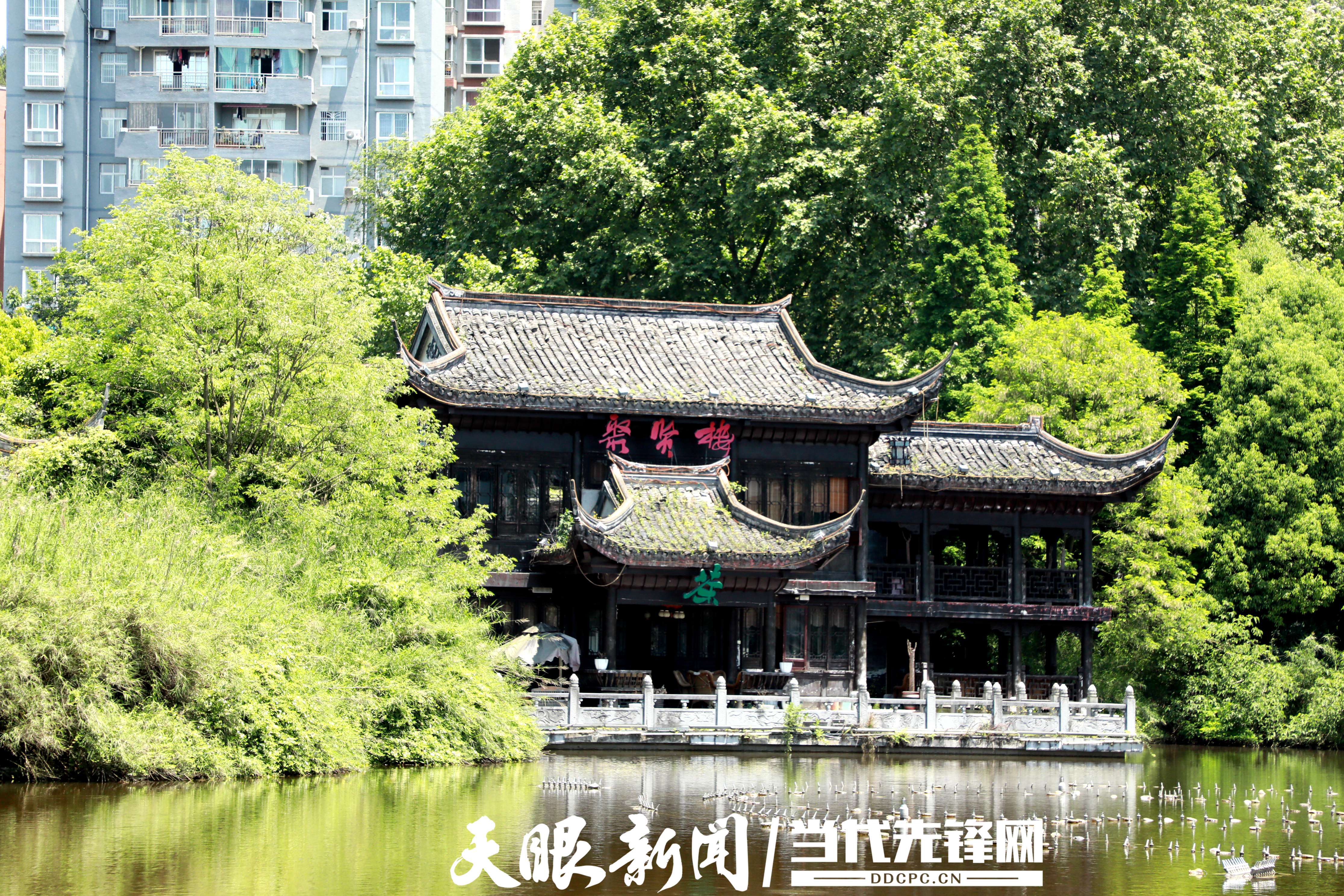 關于最新情侶活春視頻實拍的道德倫理探討與涉黃問題探討的理性視角