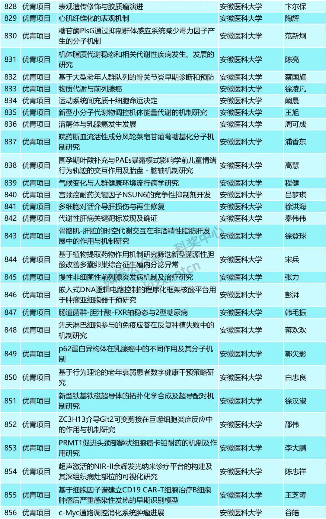 2024新澳精準資料大全,處于迅速響應執行_通行證版80.548