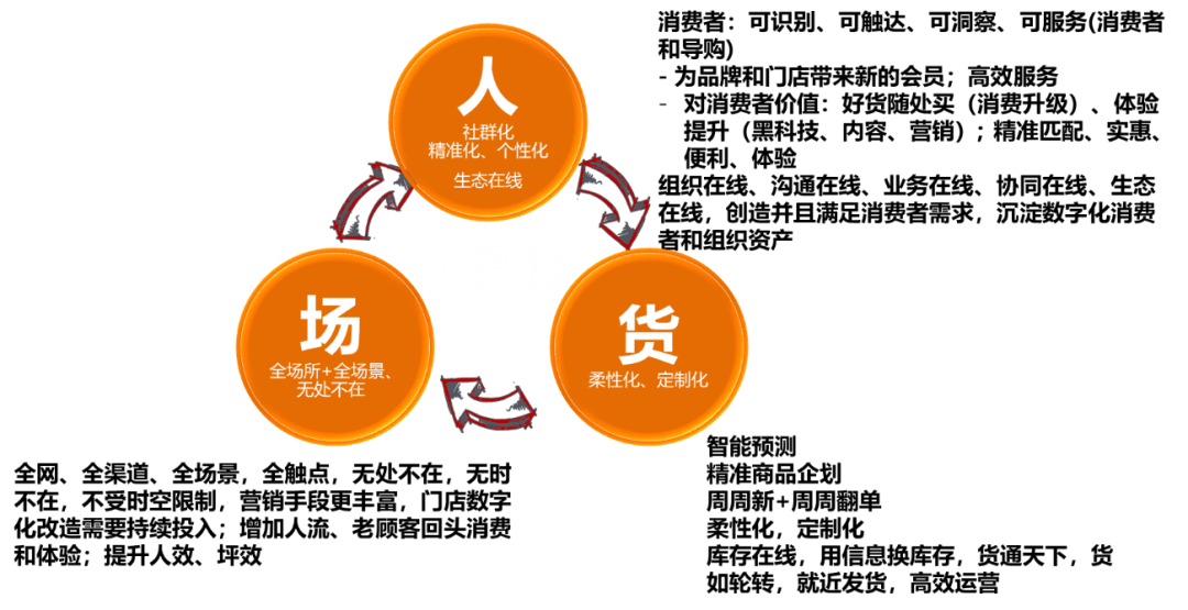 今晚必出三肖,精準分析實踐_增強版16.273