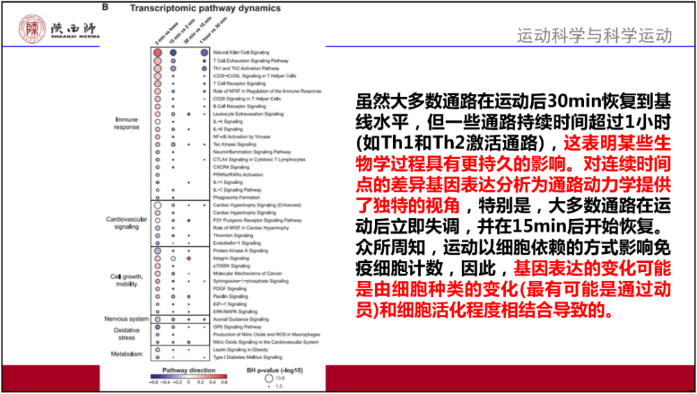 新奧門正版資料最新版本更新內(nèi)容,全面性解釋說明_輕量版49.153